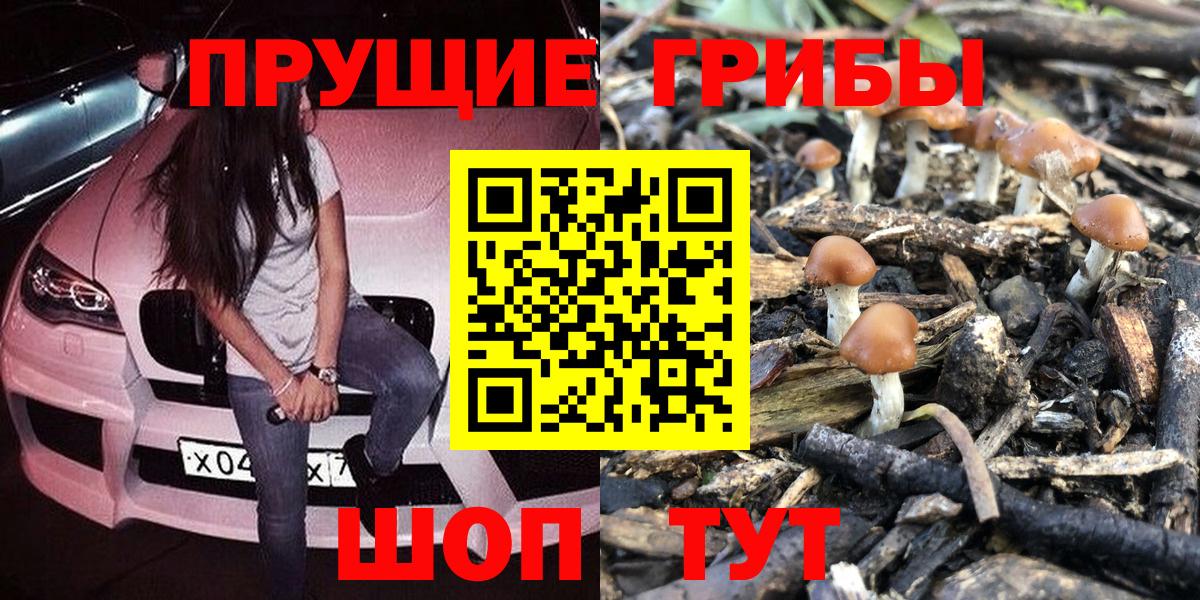 Галлюциногенные грибы Psilocybine cubensis Благовещенск