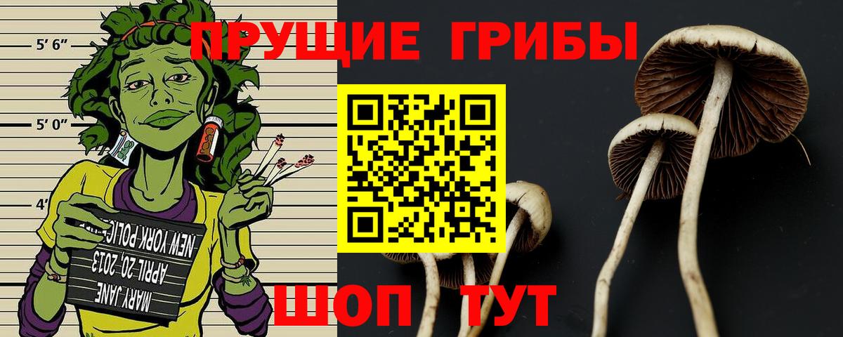 Галлюциногенные грибы Psilocybe  Вход с VPN  Благовещенск  Галлюциногенные грибы прущие грибы 